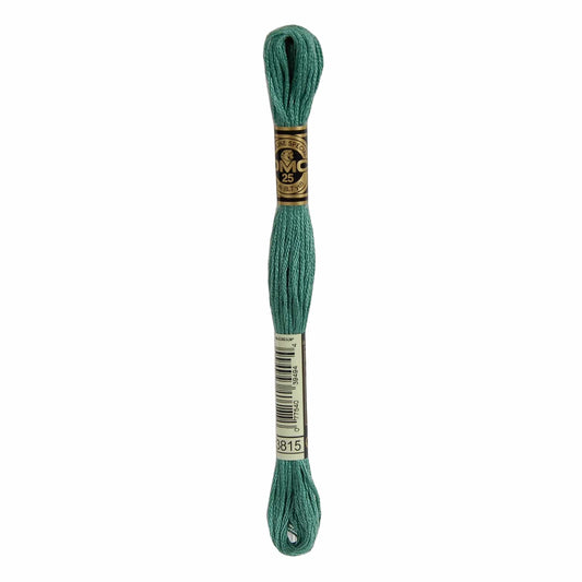 DMC Mouliné Spécial Embroidery Thread - 3815