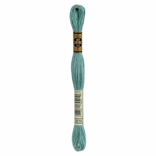DMC Mouliné Spécial Embroidery Thread - 3816