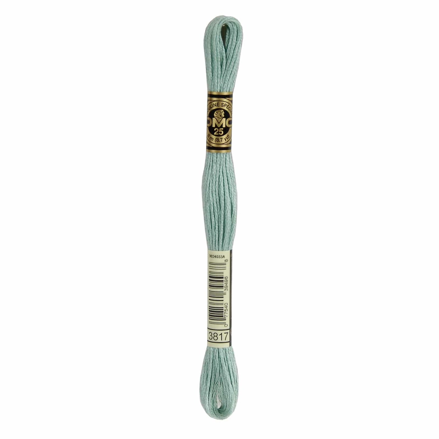 DMC Mouliné Spécial Embroidery Thread - 3817