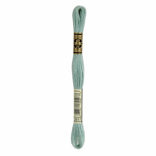 DMC Mouliné Spécial Embroidery Thread - 3817