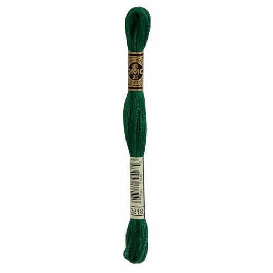 DMC Mouliné Spécial Embroidery Thread - 3818