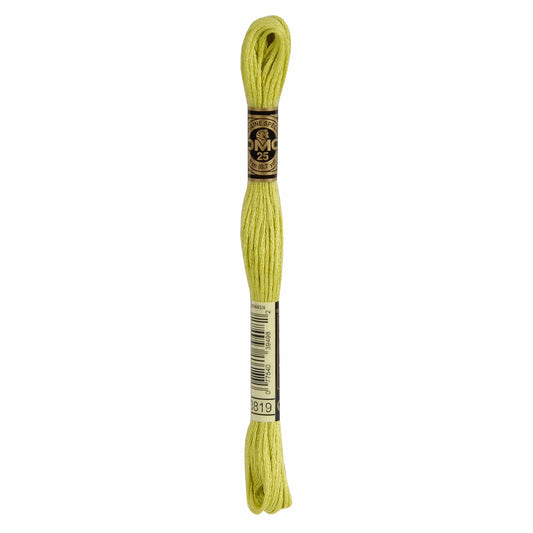 DMC Mouliné Spécial Embroidery Thread - 3819
