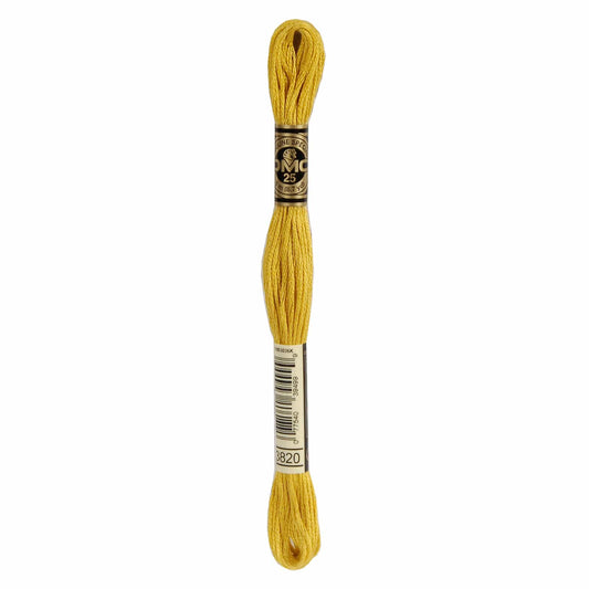 DMC Mouliné Spécial Embroidery Thread - 3820