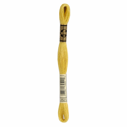 DMC Mouliné Spécial Embroidery Thread - 3821
