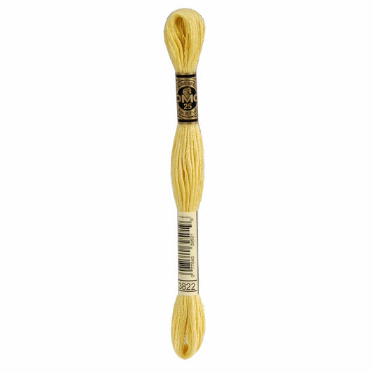 DMC Mouliné Spécial Embroidery Thread - 3822