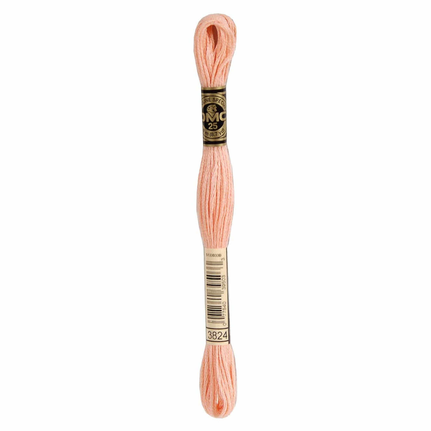 DMC Mouliné Spécial Embroidery Thread - 3824