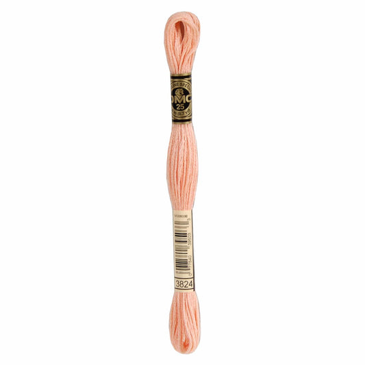 DMC Mouliné Spécial Embroidery Thread - 3824