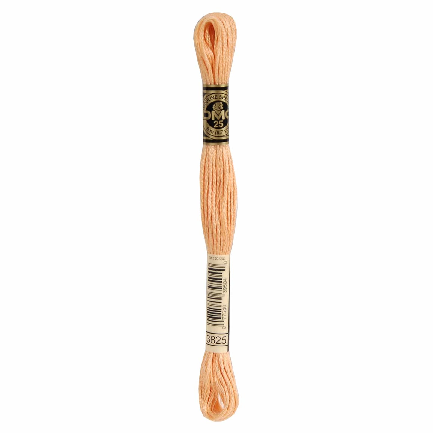 DMC Mouliné Spécial Embroidery Thread - 3825