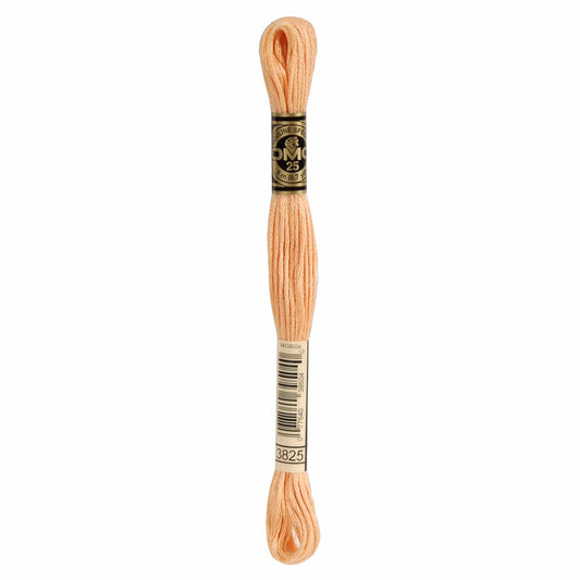 DMC Mouliné Spécial Embroidery Thread - 3825