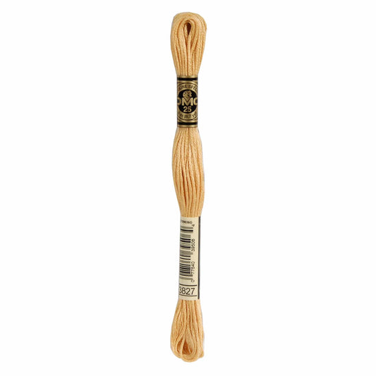 DMC Mouliné Spécial Embroidery Thread - 3827