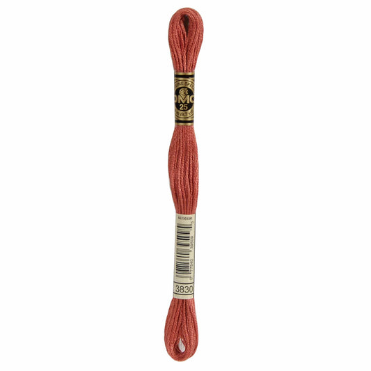 DMC Mouliné Spécial Embroidery Thread - 3830