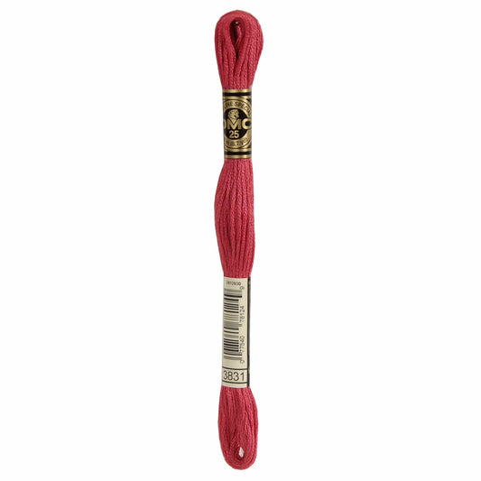 DMC Mouliné Spécial Embroidery Thread - 3831
