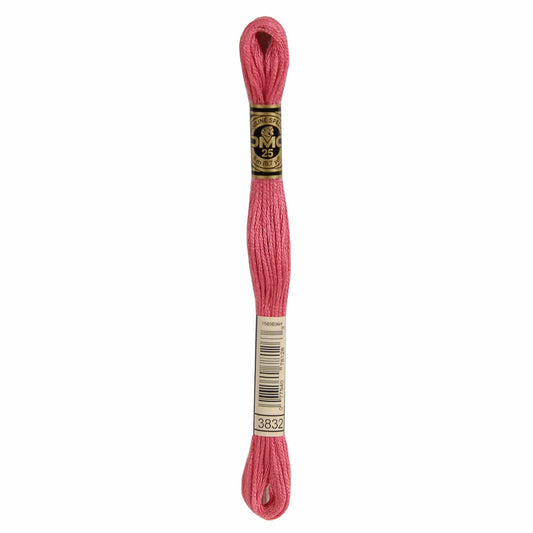 DMC Mouliné Spécial Embroidery Thread - 3832