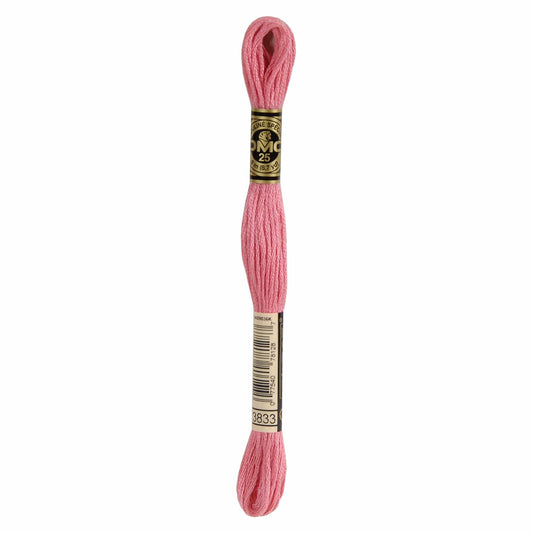 DMC Mouliné Spécial Embroidery Thread - 3833