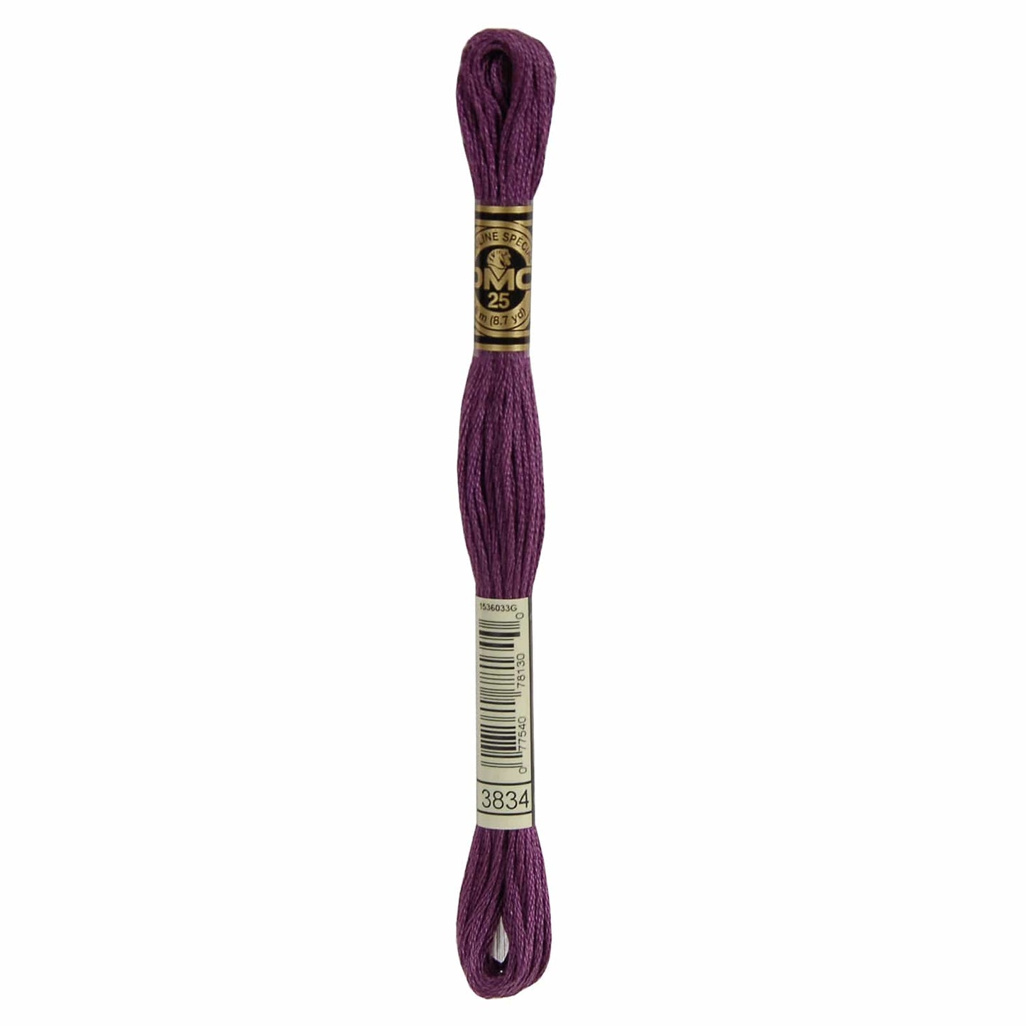 DMC Mouliné Spécial Embroidery Thread - 3834