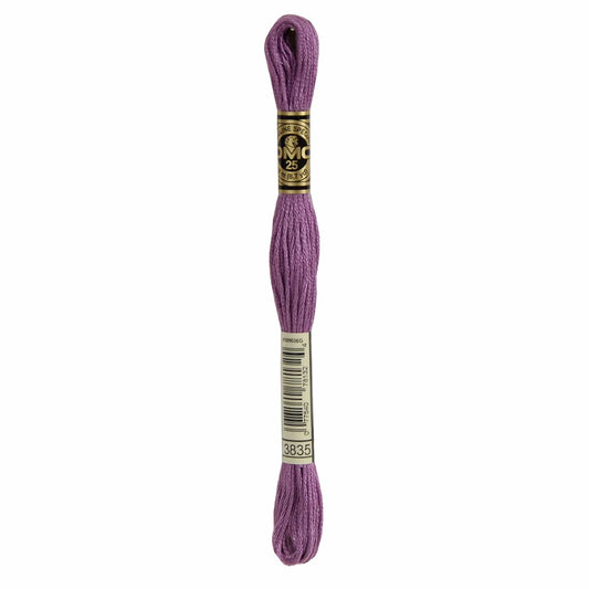 DMC Mouliné Spécial Embroidery Thread - 3835