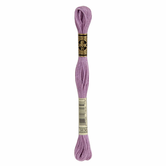 DMC Mouliné Spécial Embroidery Thread - 3836