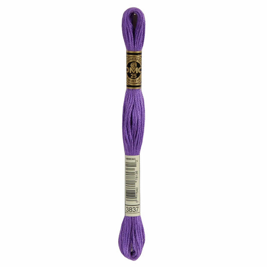 DMC Mouliné Spécial Embroidery Thread - 3837