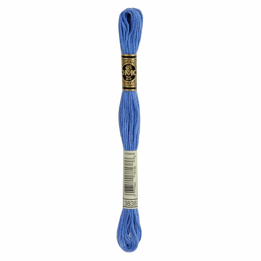 DMC Mouliné Spécial Embroidery Thread - 3838