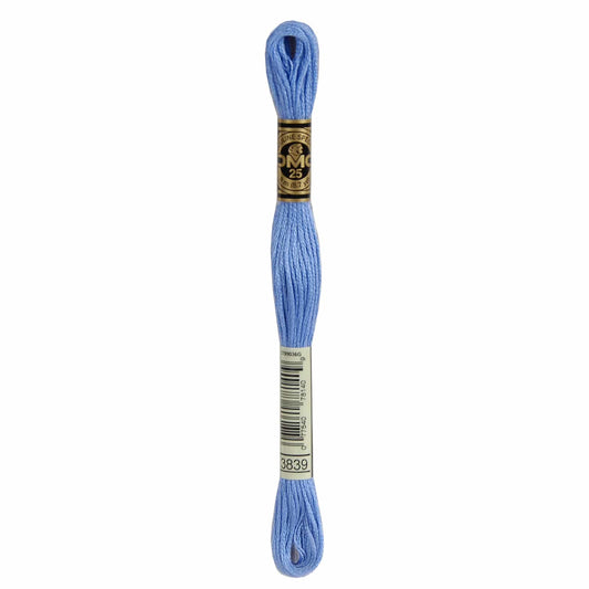 DMC Mouliné Spécial Embroidery Thread - 3839