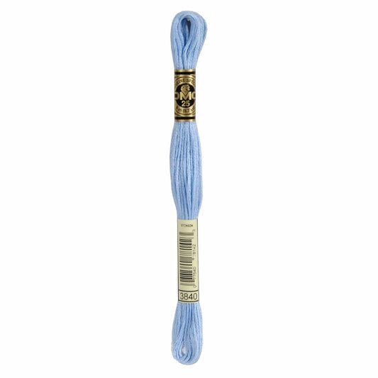 DMC Mouliné Spécial Embroidery Thread - 3840