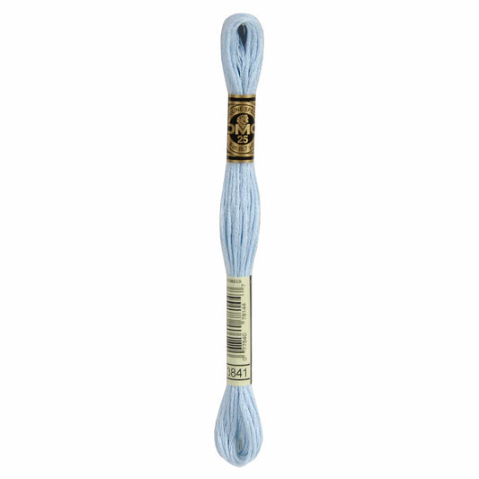 DMC Mouliné Spécial Embroidery Thread - 3841