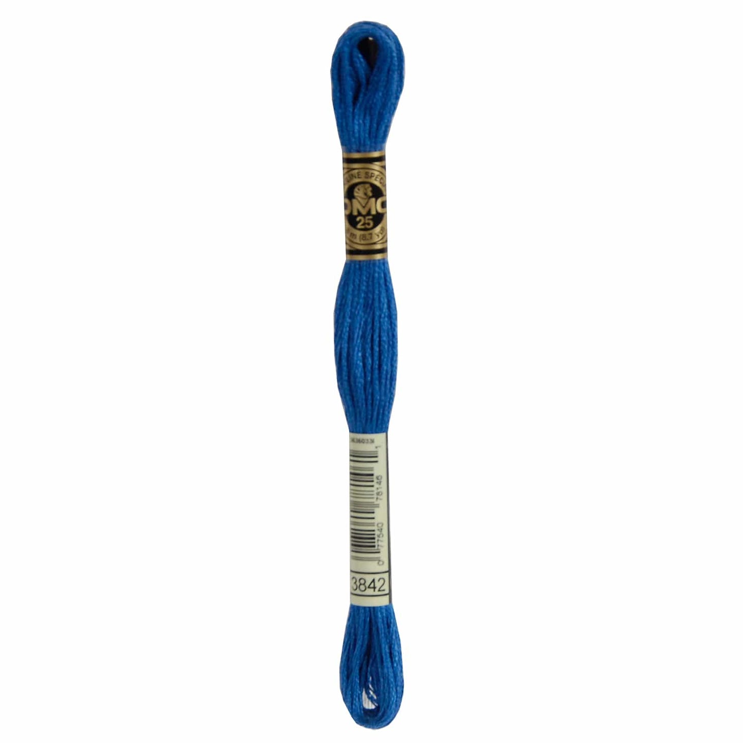 DMC Mouliné Spécial Embroidery Thread - 3842