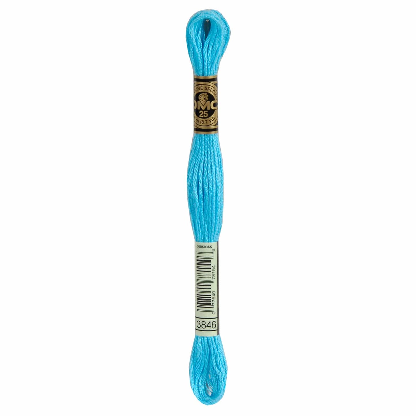 DMC Mouliné Spécial Embroidery Thread - 3846