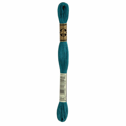DMC Mouliné Spécial Embroidery Thread - 3847
