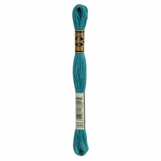 DMC Mouliné Spécial Embroidery Thread - 3848