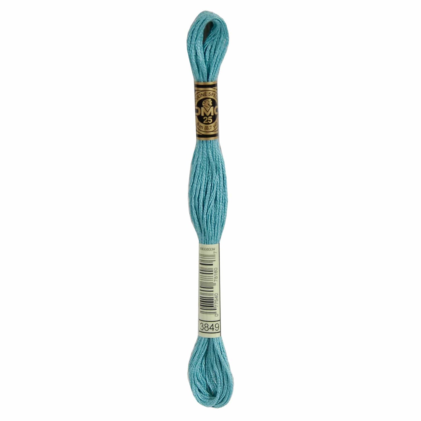 DMC Mouliné Spécial Embroidery Thread - 3849