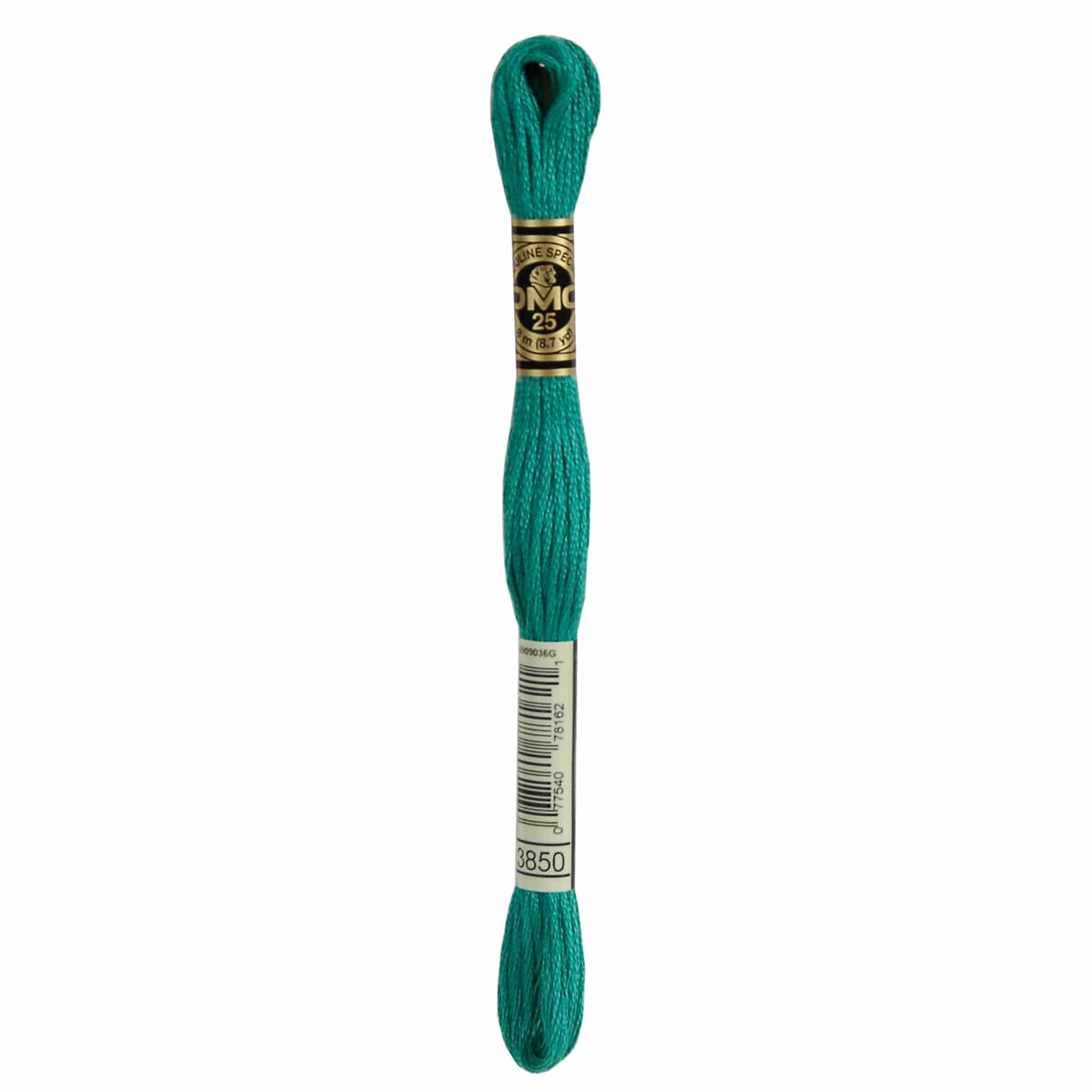 DMC Mouliné Spécial Embroidery Thread - 3850