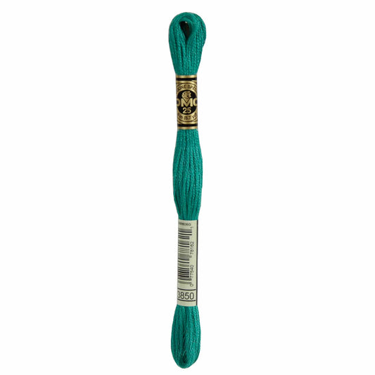 DMC Mouliné Spécial Embroidery Thread - 3850