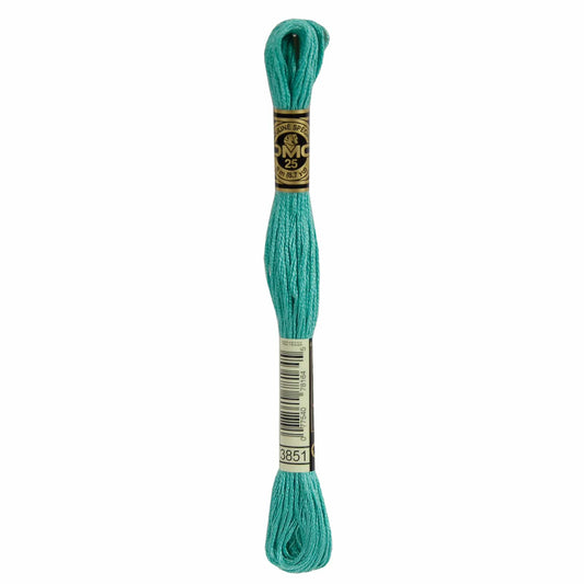 DMC Mouliné Spécial Embroidery Thread - 3851