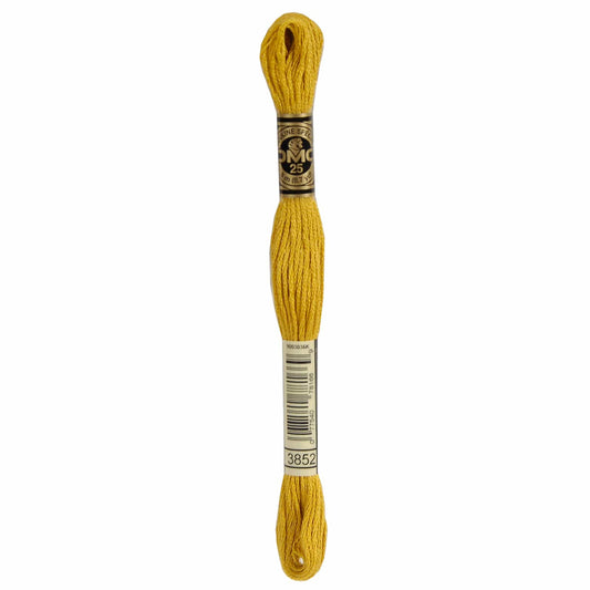 DMC Mouliné Spécial Embroidery Thread - 3852