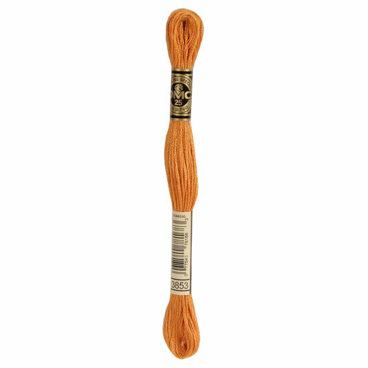 DMC Mouliné Spécial Embroidery Thread - 3853