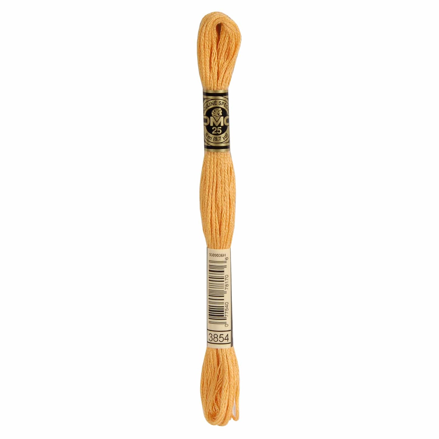 DMC Mouliné Spécial Embroidery Thread - 3854