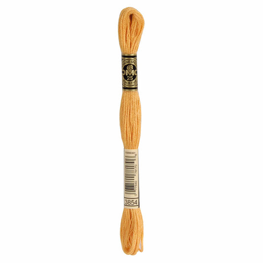 DMC Mouliné Spécial Embroidery Thread - 3854