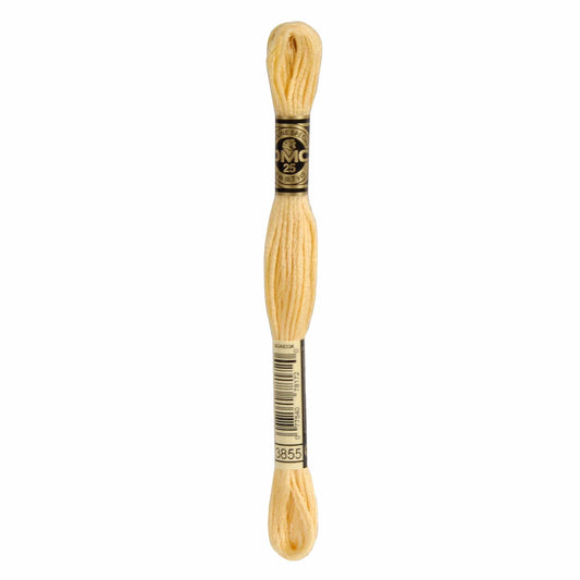 DMC Mouliné Spécial Embroidery Thread - 3855