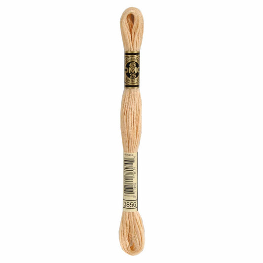 DMC Mouliné Spécial Embroidery Thread - 3856