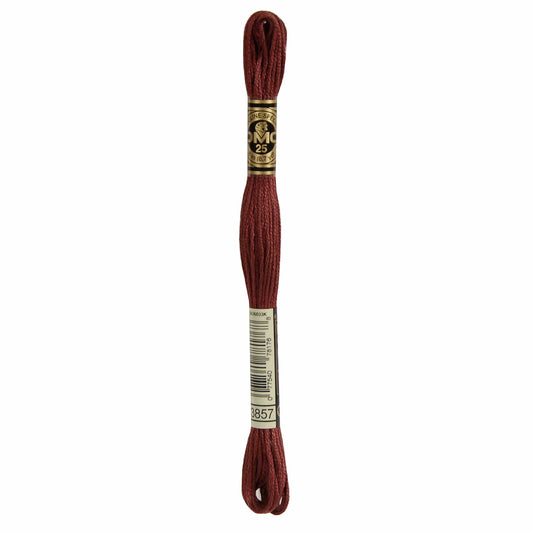 DMC Mouliné Spécial Embroidery Thread - 3857