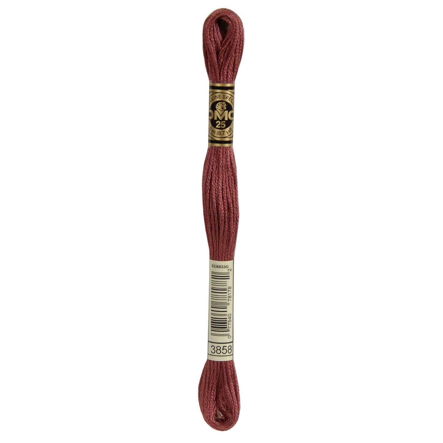 DMC Mouliné Spécial Embroidery Thread - 3858