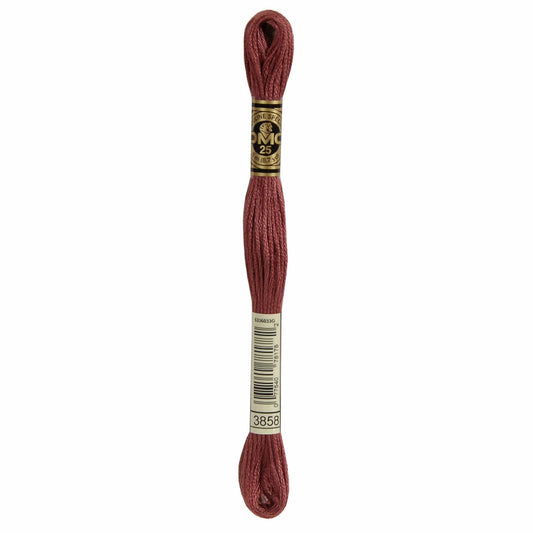 DMC Mouliné Spécial Embroidery Thread - 3858