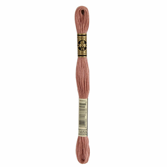 DMC Mouliné Spécial Embroidery Thread - 3859