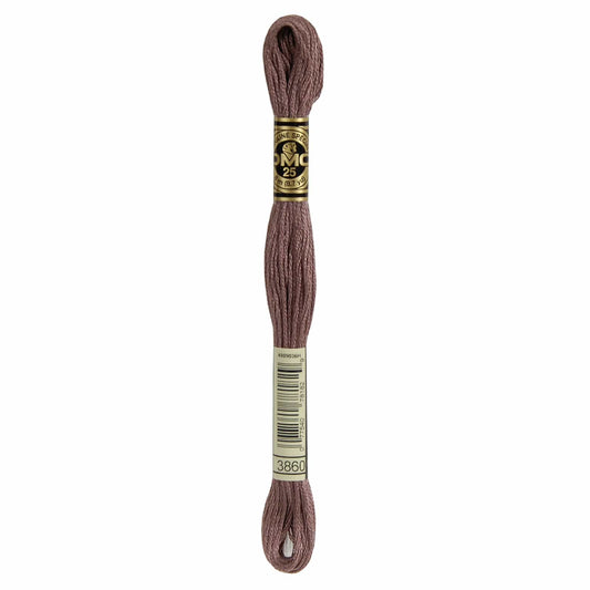 DMC Mouliné Spécial Embroidery Thread - 3860