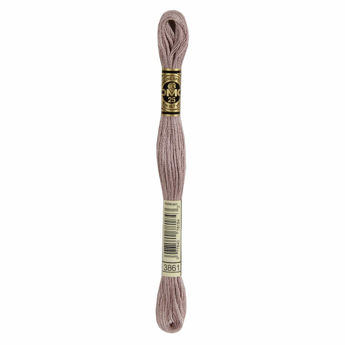 DMC Mouliné Spécial Embroidery Thread - 3861