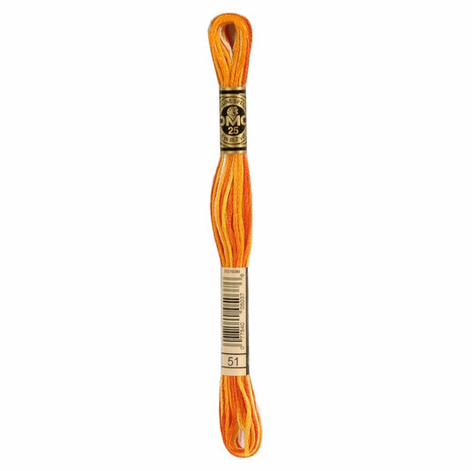 DMC Mouliné Spécial Embroidery Thread VARIEGATED - 51