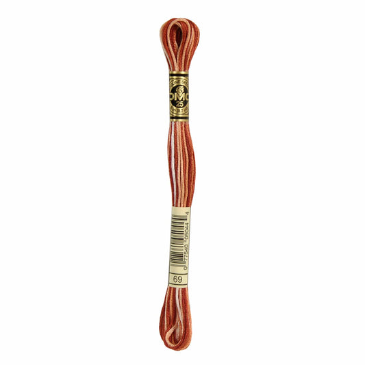 DMC Mouliné Spécial Embroidery Thread VARIEGATED - 69