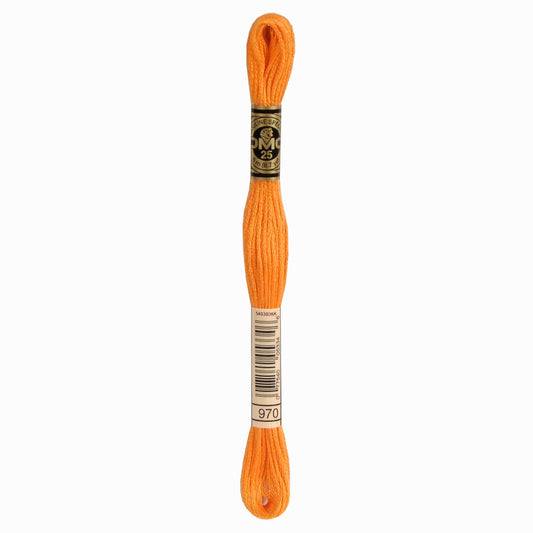 DMC Mouliné Spécial Embroidery Thread - 970