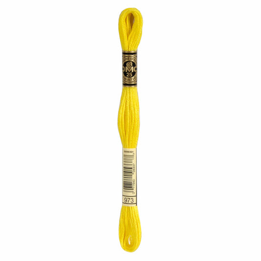 DMC Mouliné Spécial Embroidery Thread - 973